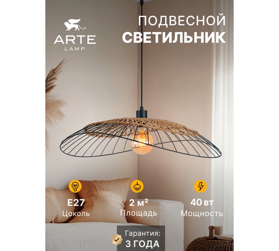 Подвесной светильник ARTE LAMP WOODSTOCK A7061SP-1BK