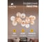Подвесная люстра ARTE LAMP ETEREO A5261LM-15GO 4