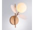 Бра ARTE LAMP PEACOCK A1369AP-1SG 2
