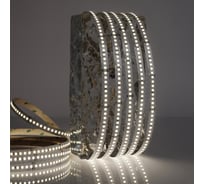 Светодиодная лента LEDS POWER 2835 176/м (16Вт/м) 24В холодная, серия ПРО140 005225
