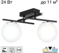 Светильник поворотный Citilux DORSY LED с диммером Чёрный CL223122