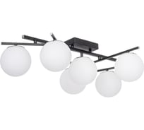 Люстра поворотная с пультом Citilux DORSY LED Чёрная CL223162