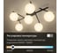 Люстра поворотная с пультом Citilux DORSY LED Чёрная CL223162 6