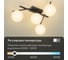 Люстра поворотная с пультом Citilux DORSY LED Чёрная CL223142 9