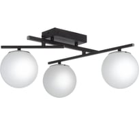 Люстра поворотная с пультом Citilux DORSY LED Чёрная CL223132