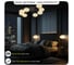 Умная люстра Citilux ATMAN SMART LED RGB Матовый Хром CL226A181 15