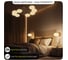 Умная люстра Citilux ATMAN SMART LED RGB Бронза CL226A183 12