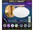 Бра светодиодное Citilux ATMAN SMART Бронза CL226B313 2