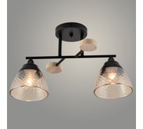 Люстра РОСТОК XA1527/2 BK+WOOD черный/дерево 2x60W E27 d440 h250, HN23 988371717