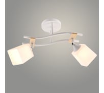 Люстра РОСТОК XA1586/2 WH+CR+WOOD белый/хром 2x60W E27 d500 h290, HN23 988372856