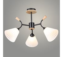 Люстра РОСТОК N6426/3 BK+WOOD черный 3x60W E27 d635 h400, QH24 988385449