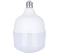 Лампа для растений Inbloom 12х19.3см, 60LED, фиолетовый, 30Вт, Е27, PC, металл D23-004
