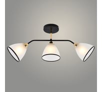 Люстра РОСТОК XA1449C/3 BK+FGD черный/золото 3x60W E27 d540 h280, HN23 988371811