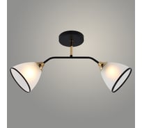 Люстра РОСТОК XA1449C/2 BK+FGD черный/золото 2x60W E27 d545 h280, HN23 988371810