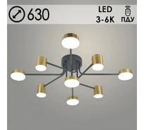 Люстра РОСТОК 20608/9 BK+BRASS черный/латунь LED 92W 3000-6000K ПДУ d630 h190, MGF22 988028112