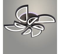 Люстра РОСТОК LI09823C/4+4A PR BK черный 168W+7W LED RGB 3000K-6000K d605 ПДУ(ИК) диммер, HN24 988383291