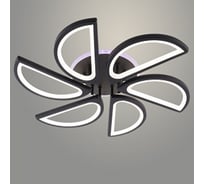 Люстра РОСТОК LI09823B/6A PR BK черный 156W+7W LED RGB 3000K-6000K d640 ПДУ(ИК) диммер, HN24 988383289