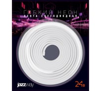Лента светодиодная Jazzway PFN-02 НЕОН 24V 2835/120 6000K 24В 12X6мм IP65 (упаковка 5м) 5058651