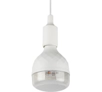 Фитолампа для растений светодиодная GREEN LINE ФИТО35WPFRE27GR полного спектра 35 Вт Е27 ЭРА Б0064576