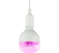 Фитолампа для растений светодиодная GREEN LINE ФИТО35WPLE27GR красносинего спектра 35 Вт Е27 ЭРА Б0064580