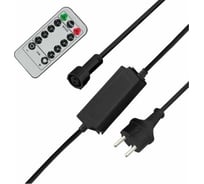 Контроллер с радиопультом для уличных гирлянд Сеть и Твинкл, черный Neon-Night 217-204