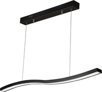 Подвесной светильник iLEDEX Umbra черный 8007-1L-D-T BK