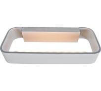 Настенный светильник iLEDEX Aries белый ZD8002-9W WH