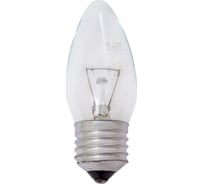 Лампа накаливания FAVOR ДС 230-60 Е27 8109012