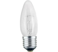 Лампа накаливания FAVOR ДС 230-40 Е27 8109011