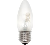 Лампа накаливания FAVOR ДСМТ 230-40 Е27 8109019