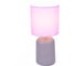 Настольная лампа LUMION E27 1*60W NIANA 8220/1T 2