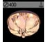 Люстра РОСТОК 55585/400 CR хром 4x40W E14 LED-WT ПДУ d400 h210, SDA22 988013194 1