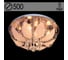 Люстра РОСТОК 55586/500 CR хром 5x40W E14 LED-RBP ПДУ d500 h250, SDA22 988013198 1