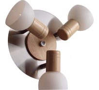 Бра Lucia Tucci Natura W089.3R