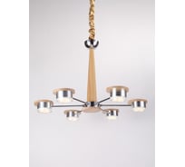 Подвесная светодиодная люстра Lucia Tucci Natura 069.6 Led