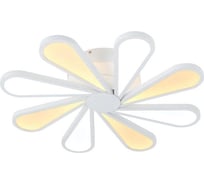 Потолочный светодиодный светильник Lucia Tucci Miracoli 201.8 LED