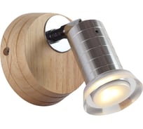 Настенный светодиодный светильник Lucia Tucci Natura W161.1