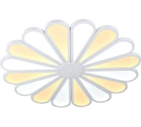 Потолочный светодиодный светильник Lucia Tucci Miracoli 203.20 LED