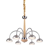 Подвесная светодиодная люстра Lucia Tucci Natura 065.6 Led