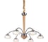 Подвесная светодиодная люстра Lucia Tucci Natura 068.6 Led 1