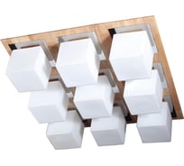 Потолочный светильник Lucia Tucci Natura 084.9