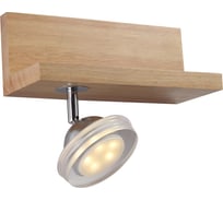 Настенный светодиодный светильник Lucia Tucci Natura W164.1