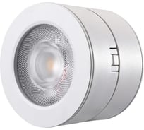 Накладной светодиодный светильник Lucia Tucci Benassi LTP-C003-7W-W