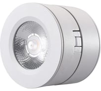 Накладной светодиодный светильник Lucia Tucci Benassi LTP-C003-12W-W