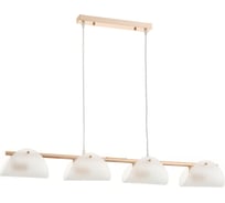 Люстра Rivoli Mariana 3178201 подвесная 4 х Е14 60 Вт модерн Б0066489