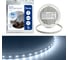 Светодиодная лента FERON LS500/ 60SMD 2835 /м 6Вт/м 24V 5000х8х1.22мм 6000К 41526 1