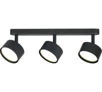 Светильник накладной поворотный truEnergy на тонкой планке под лампы 3xGX53 круг черный/алюминий 21465