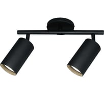 Светильник накладной поворотный truEnergy на тонкой планке под лампы 2xGU10 круг черный/алюминий 21460