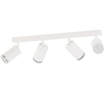 Светильник накладной поворотный truEnergy с матовыми кольцами под лампы 4xGU10 круг белый/металл 21375