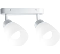 Настенно-потолочный светильник FERON под лампу 2хE27, белый ML242 41513